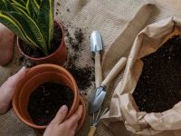 Werkzeuge für den Haus- und Gartenbau